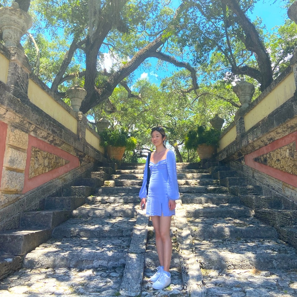 SOLD Wilfred long sleeve dress 💙
